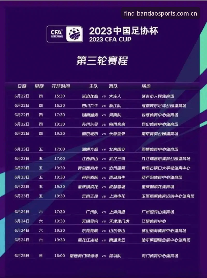 中国足协第三批禁足名单深度解读：半岛体育平台用户观赛指南与行业分析